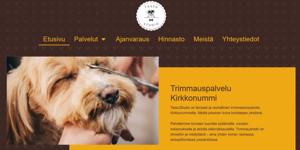 Digiassistentti referenssikuva TassuStudiosta